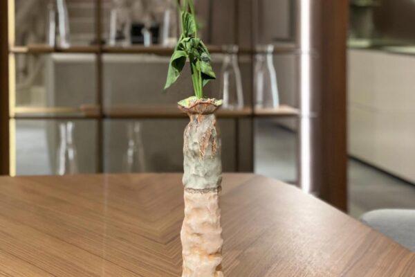 SCIC-Italia-AR-Second-Floor-05-800x1024