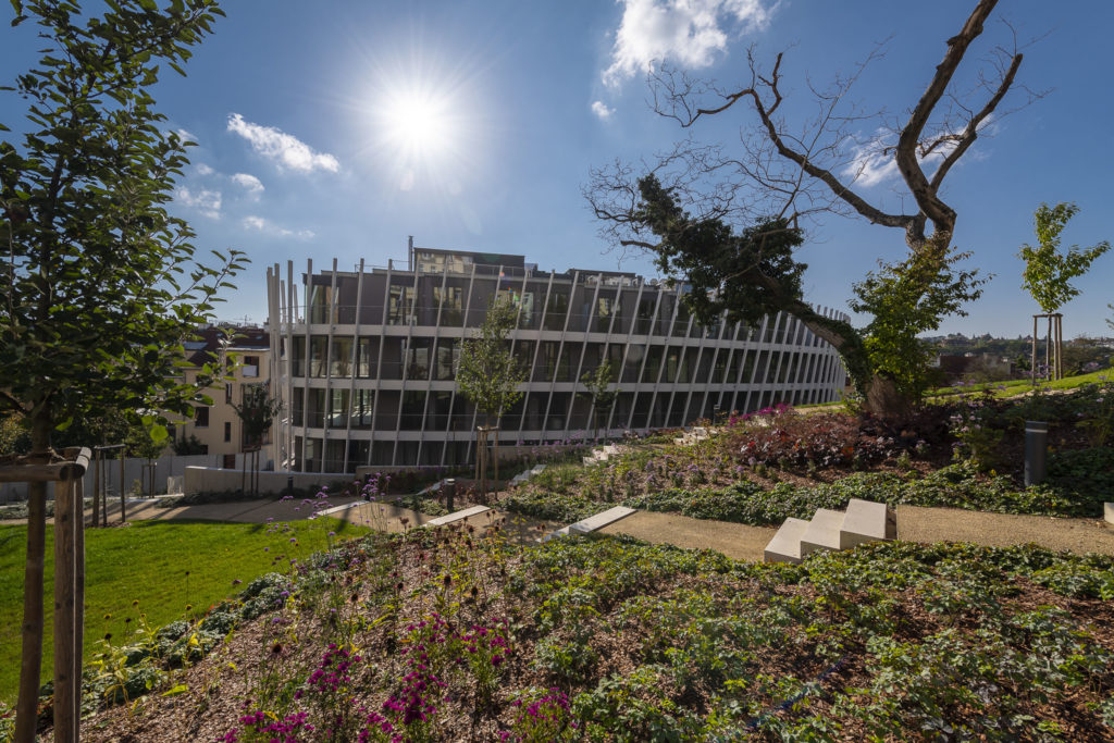 scic_Holeƒkova_00003