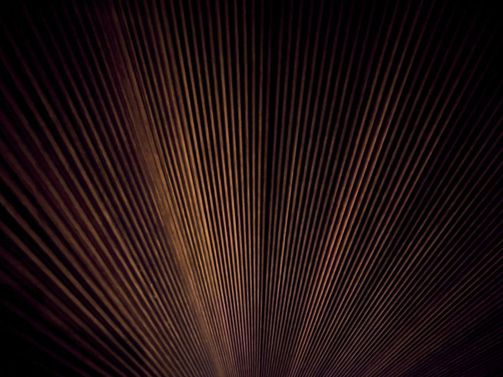 scic_kitchen_swing_00007