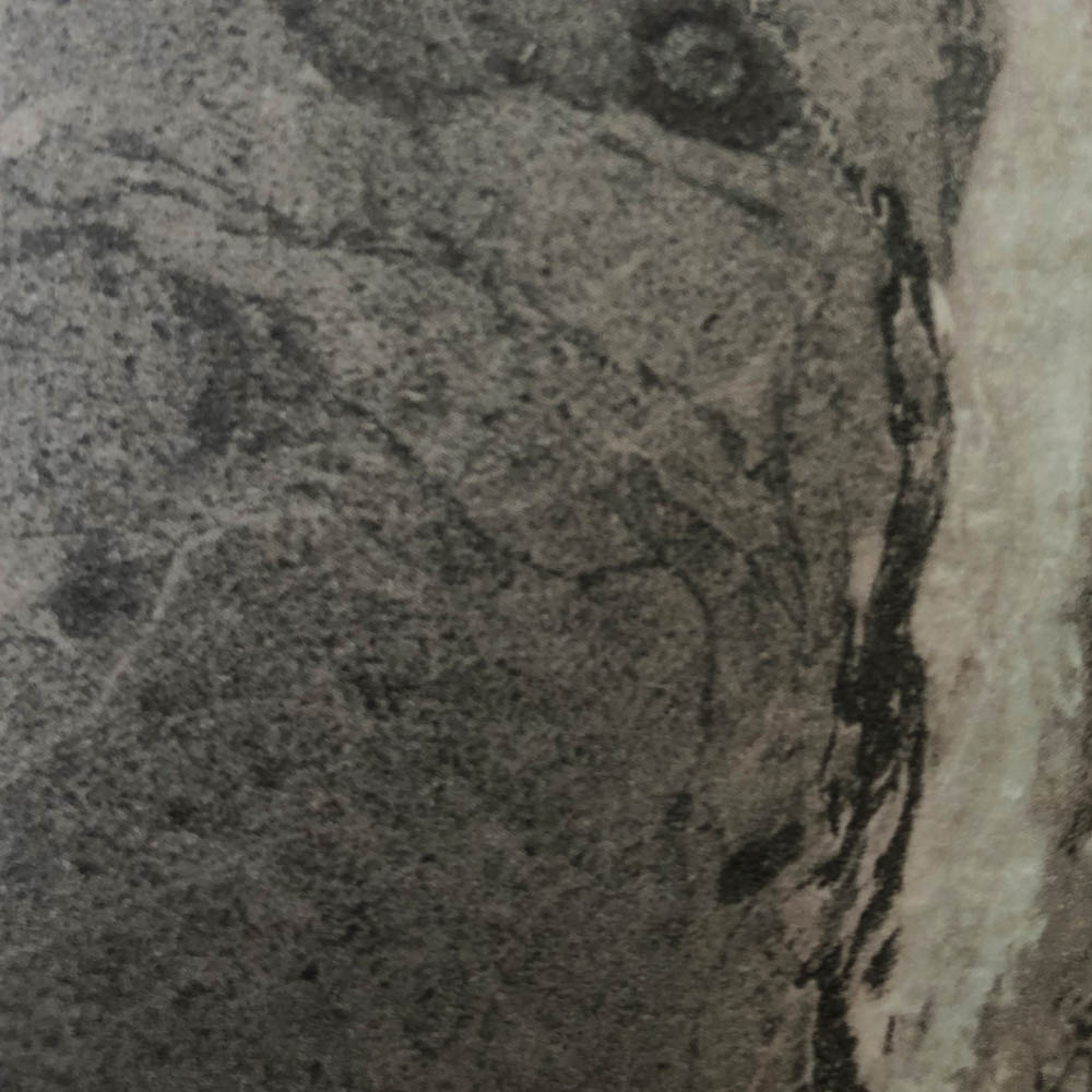 finishes_unicolor_442-cheope