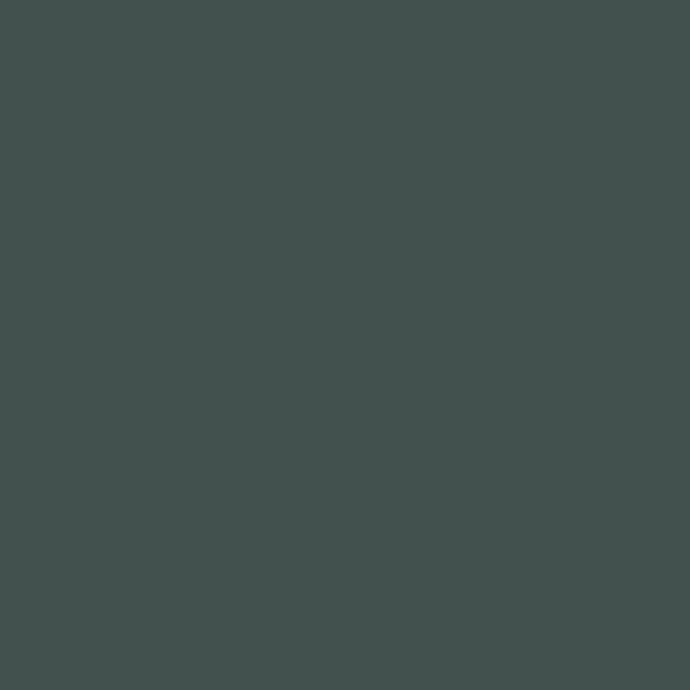 finishes_polimerico_castoro-R181